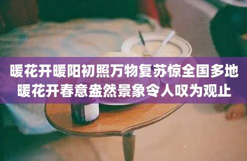 暖花开暖阳初照万物复苏惊全国多地暖花开春意盎然景象令人叹为观止