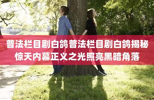 普法栏目剧白鸽普法栏目剧白鸽揭秘惊天内幕正义之光照亮黑暗角落