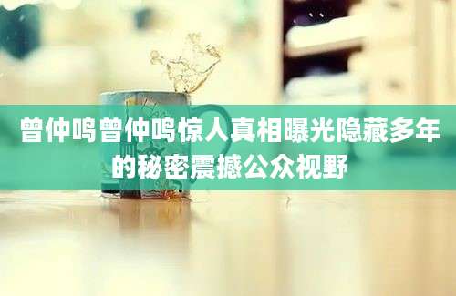 曾仲鸣曾仲鸣惊人真相曝光隐藏多年的秘密震撼公众视野