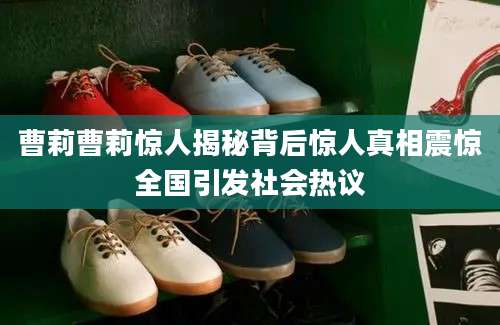 曹莉曹莉惊人揭秘背后惊人真相震惊全国引发社会热议