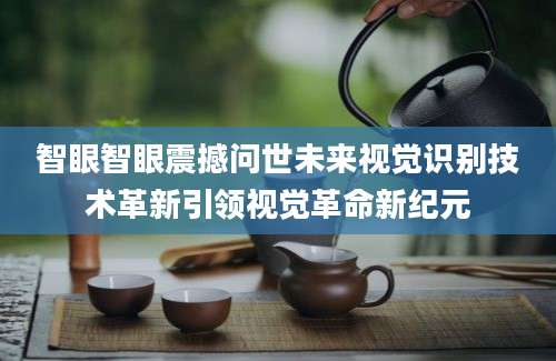 智眼智眼震撼问世未来视觉识别技术革新引领视觉革命新纪元