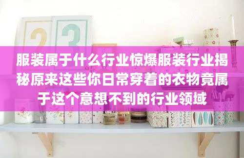 服装属于什么行业惊爆服装行业揭秘原来这些你日常穿着的衣物竟属于这个意想不到的行业领域