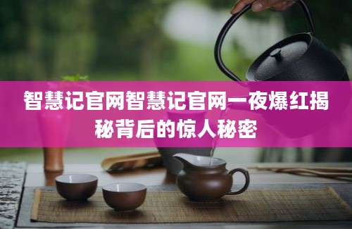 智慧记官网智慧记官网一夜爆红揭秘背后的惊人秘密