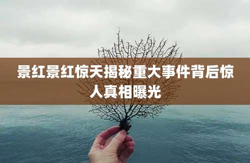 景红景红惊天揭秘重大事件背后惊人真相曝光