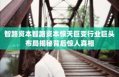 智路资本智路资本惊天巨变行业巨头布局揭秘背后惊人真相