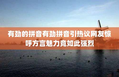 有劲的拼音有劲拼音引热议网友惊呼方言魅力竟如此强烈