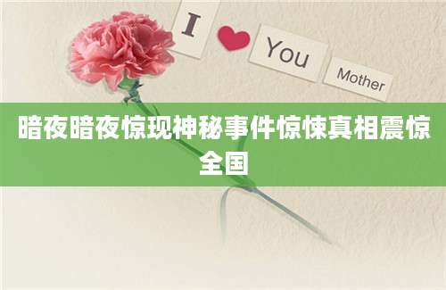 暗夜暗夜惊现神秘事件惊悚真相震惊全国