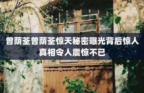 曾荫荃曾荫荃惊天秘密曝光背后惊人真相令人震惊不已