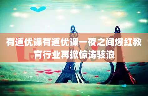 有道优课有道优课一夜之间爆红教育行业再掀惊涛骇浪