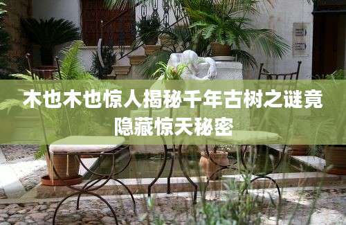 木也木也惊人揭秘千年古树之谜竟隐藏惊天秘密