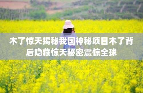 木了惊天揭秘我国神秘项目木了背后隐藏惊天秘密震惊全球