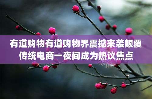 有道购物有道购物界震撼来袭颠覆传统电商一夜间成为热议焦点