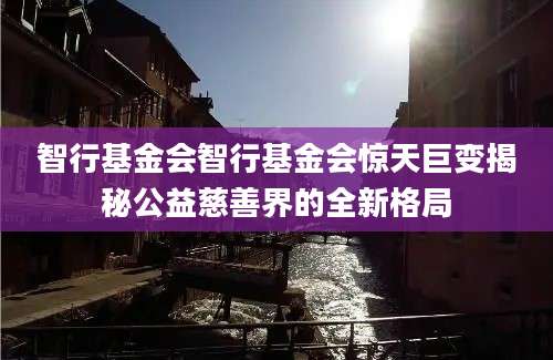 智行基金会智行基金会惊天巨变揭秘公益慈善界的全新格局