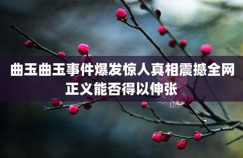 曲玉曲玉事件爆发惊人真相震撼全网正义能否得以伸张