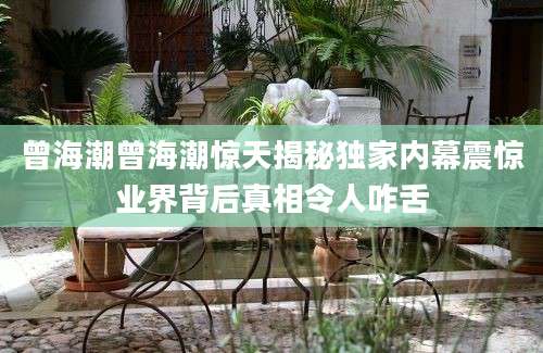 曾海潮曾海潮惊天揭秘独家内幕震惊业界背后真相令人咋舌