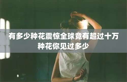 有多少种花震惊全球竟有超过十万种花你见过多少