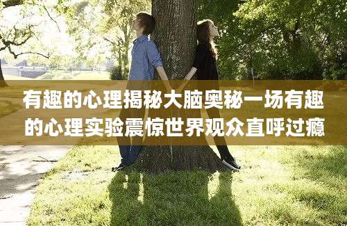 有趣的心理揭秘大脑奥秘一场有趣的心理实验震惊世界观众直呼过瘾