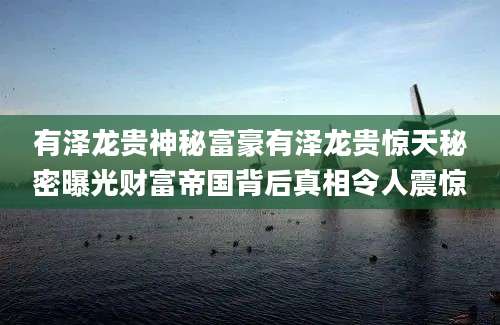 有泽龙贵神秘富豪有泽龙贵惊天秘密曝光财富帝国背后真相令人震惊
