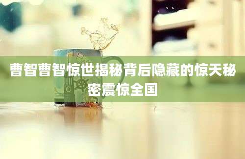 曹智曹智惊世揭秘背后隐藏的惊天秘密震惊全国