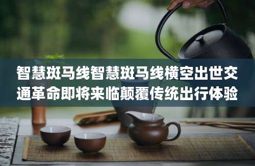 智慧斑马线智慧斑马线横空出世交通革命即将来临颠覆传统出行体验