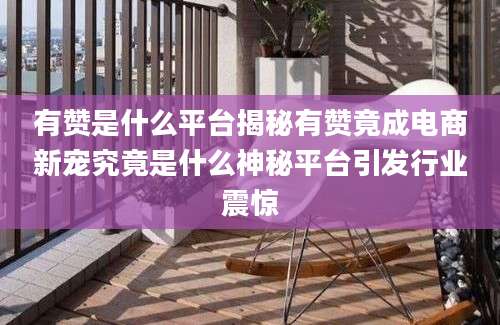 有赞是什么平台揭秘有赞竟成电商新宠究竟是什么神秘平台引发行业震惊