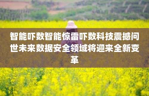 智能吓数智能惊雷吓数科技震撼问世未来数据安全领域将迎来全新变革
