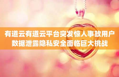 有道云有道云平台突发惊人事故用户数据泄露隐私安全面临巨大挑战
