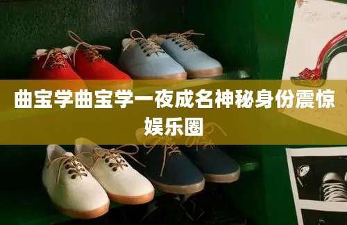 曲宝学曲宝学一夜成名神秘身份震惊娱乐圈