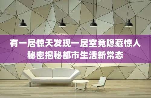 有一居惊天发现一居室竟隐藏惊人秘密揭秘都市生活新常态