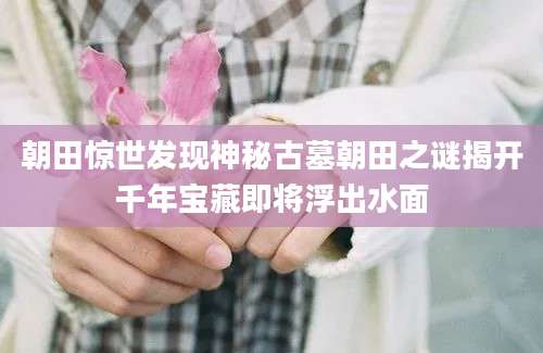 朝田惊世发现神秘古墓朝田之谜揭开千年宝藏即将浮出水面