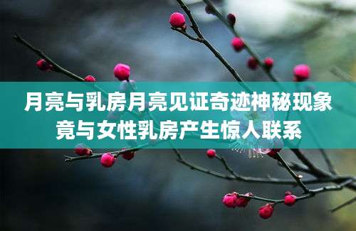月亮与乳房月亮见证奇迹神秘现象竟与女性乳房产生惊人联系