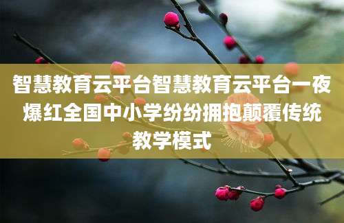 智慧教育云平台智慧教育云平台一夜爆红全国中小学纷纷拥抱颠覆传统教学模式
