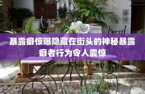 暴露癖惊曝隐藏在街头的神秘暴露癖者行为令人震惊