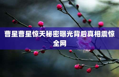 曹星曹星惊天秘密曝光背后真相震惊全网
