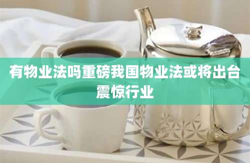 有物业法吗重磅我国物业法或将出台震惊行业