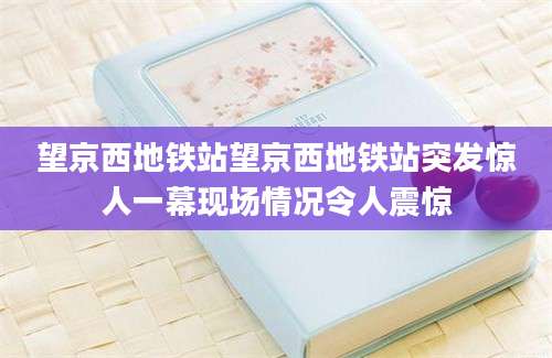 望京西地铁站望京西地铁站突发惊人一幕现场情况令人震惊