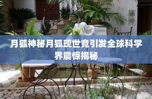 月狐神秘月狐现世竟引发全球科学界震惊揭秘
