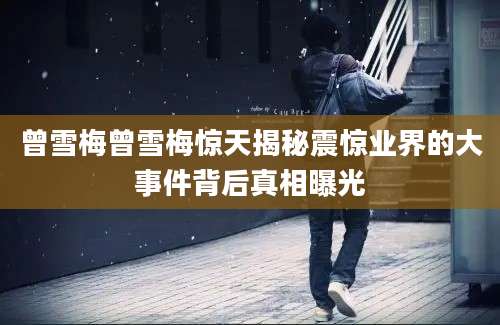曾雪梅曾雪梅惊天揭秘震惊业界的大事件背后真相曝光