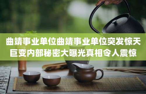 曲靖事业单位曲靖事业单位突发惊天巨变内部秘密大曝光真相令人震惊