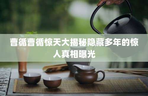 曹循曹循惊天大揭秘隐藏多年的惊人真相曝光