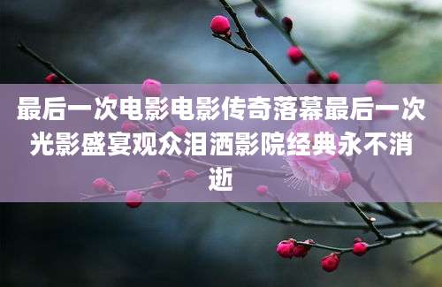 最后一次电影电影传奇落幕最后一次光影盛宴观众泪洒影院经典永不消逝