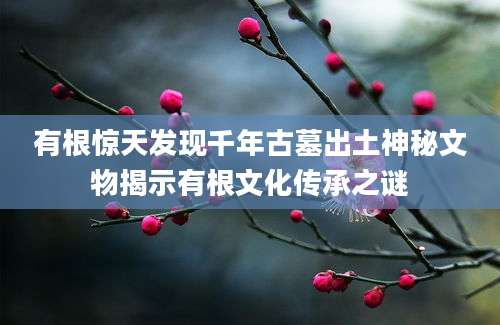 有根惊天发现千年古墓出土神秘文物揭示有根文化传承之谜